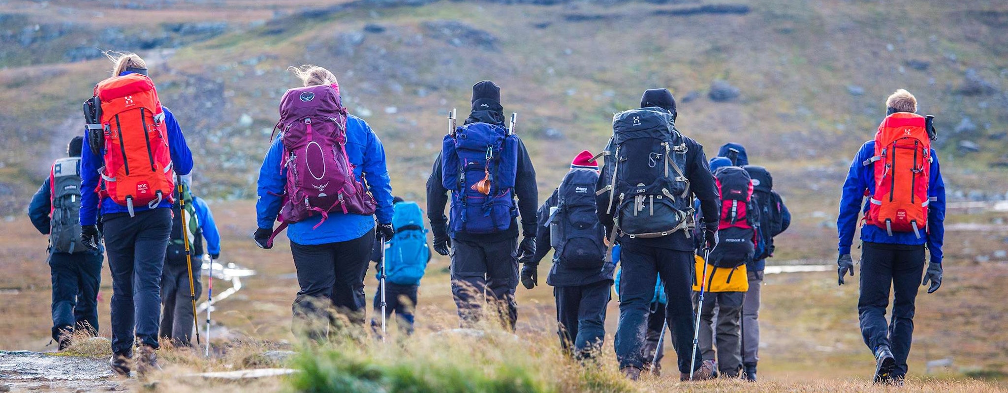 En grupp vandrare med ryggsäckar går tillsammans på fjället.
