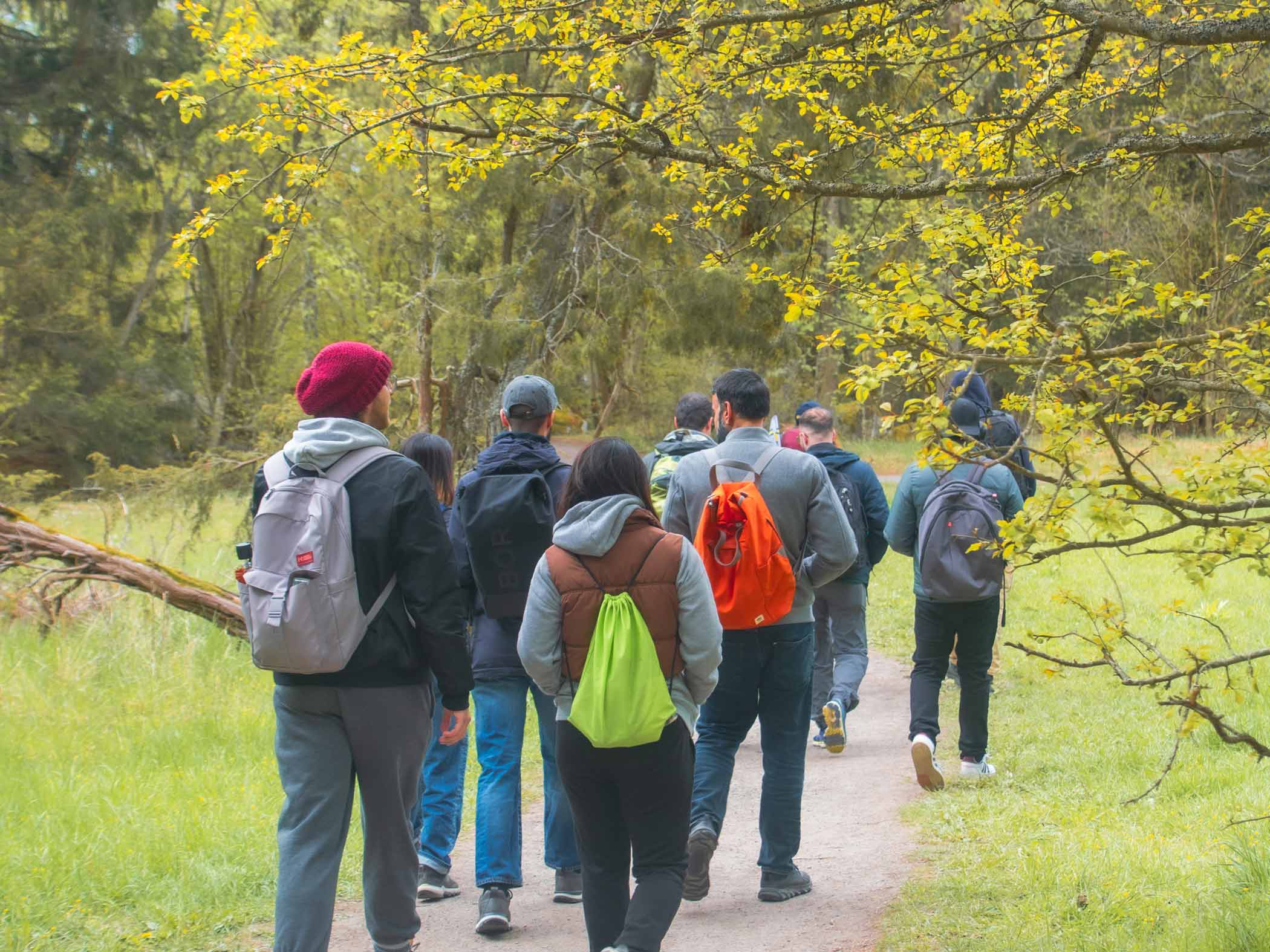 Grupp i blandad ålder vandrar tillsammans på bred stig.