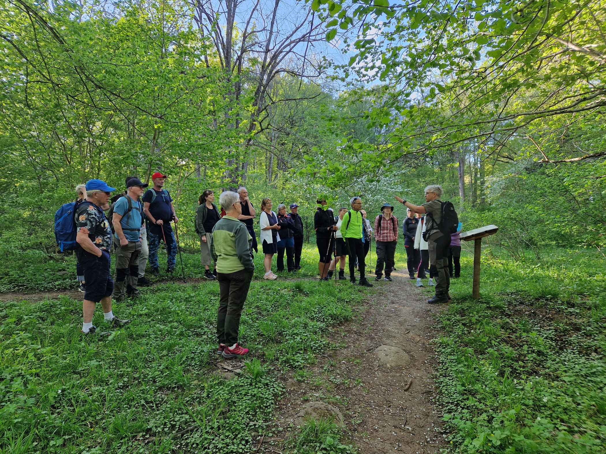 En grupp vandrare står samlade i en grönskande skog och lyssnar på en guide som pekar mot ett träd.