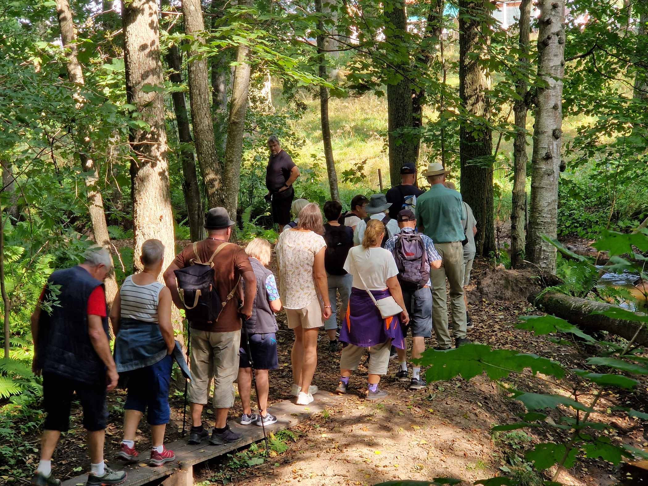 En grupp människor vandrar längs en smal stig i en grönskande skog.