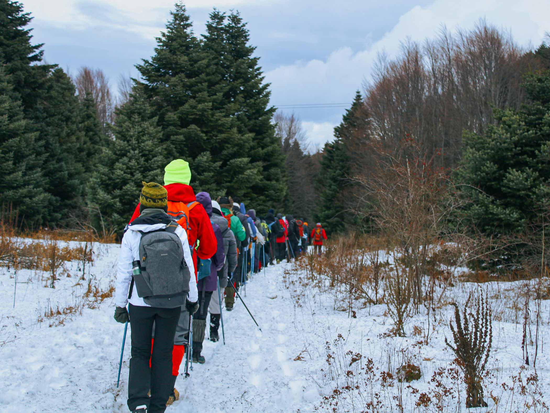 Grupp människor vandrar med stavar på snötäckt stig i vinterlandskap.