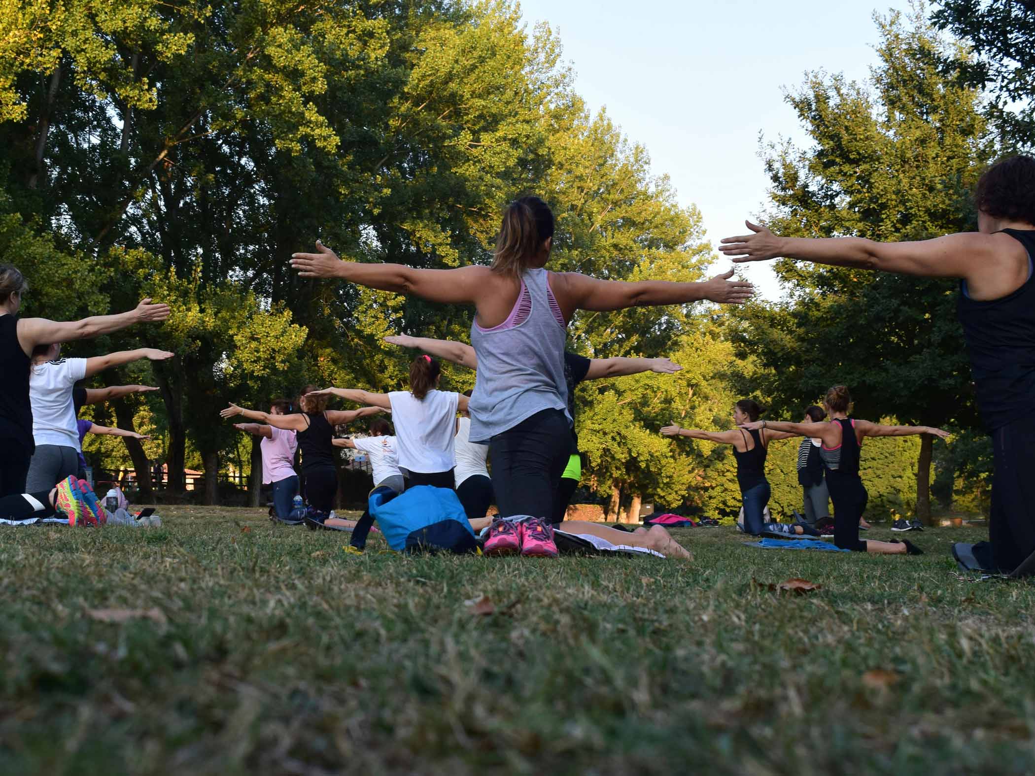 En grupp människor utövar yoga tillsammans i en park, med träd i bakgrunden.