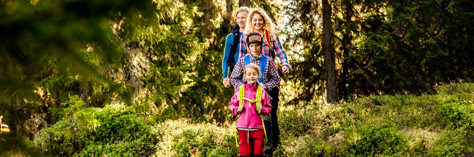 Familj går på led i skogen