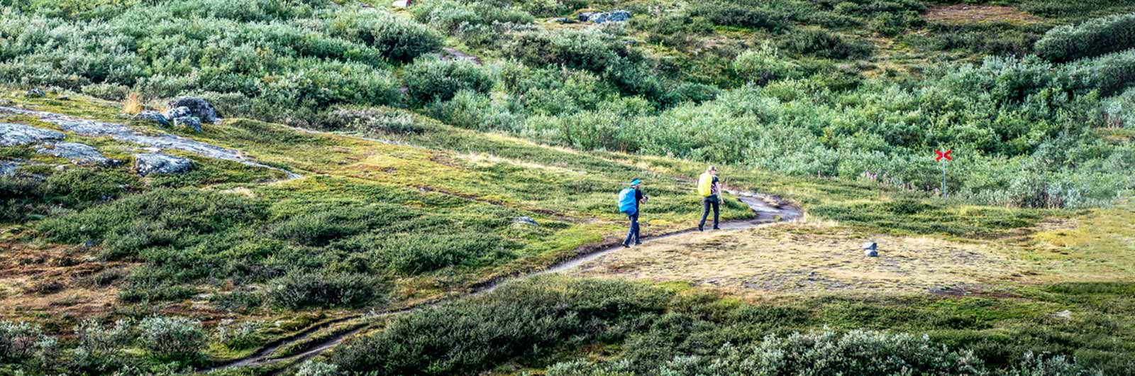  Par på fjällvandring i Lappland 