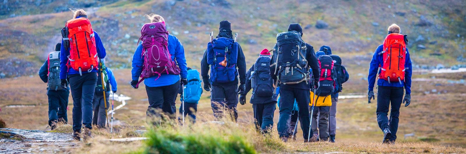 Stor grupp med vandrare mellan Vålåvalen och Helags