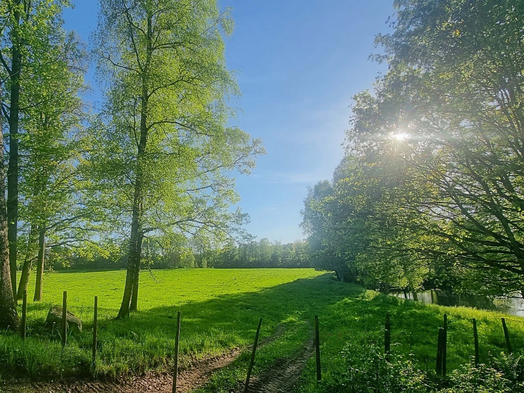 Solbelyst grön äng omgiven av lövträd, med en smal stig och staket i förgrunden samt en glimt av vatten till höger.