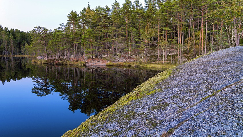 Fotograf: Sven Persson. Bildbyrå: swelo.se