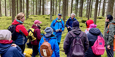 gruppsamling i skogen