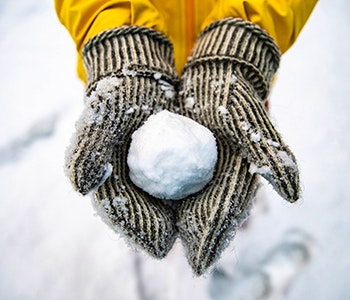 snöboll-snoupplevelser