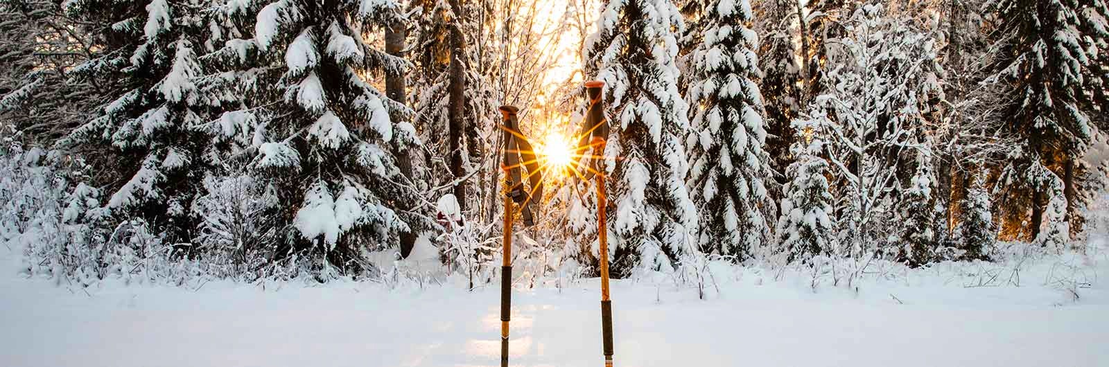 skidstavar-i-snö-upplevelser-på-snö