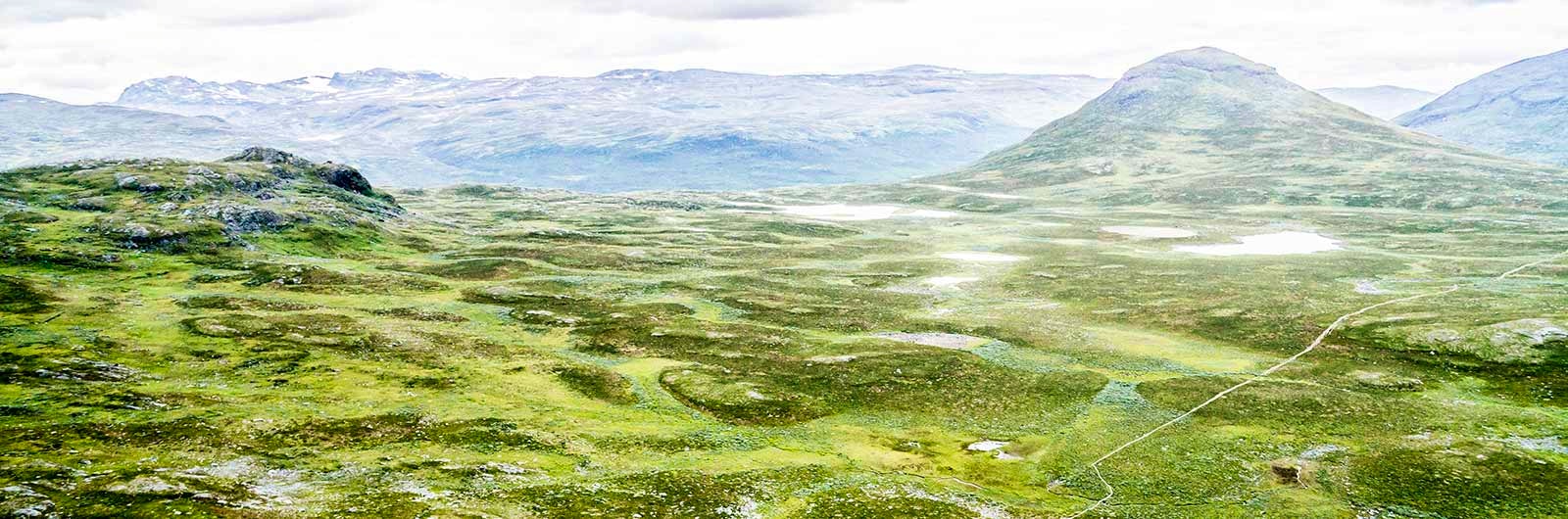 Vidsträckta berg vid Abisko Signaturled
