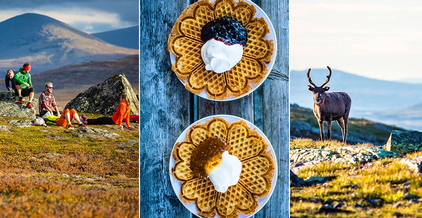 snälltåget till fjällen
