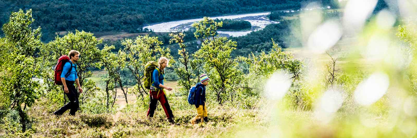 Vandring med barn grönskande landskap