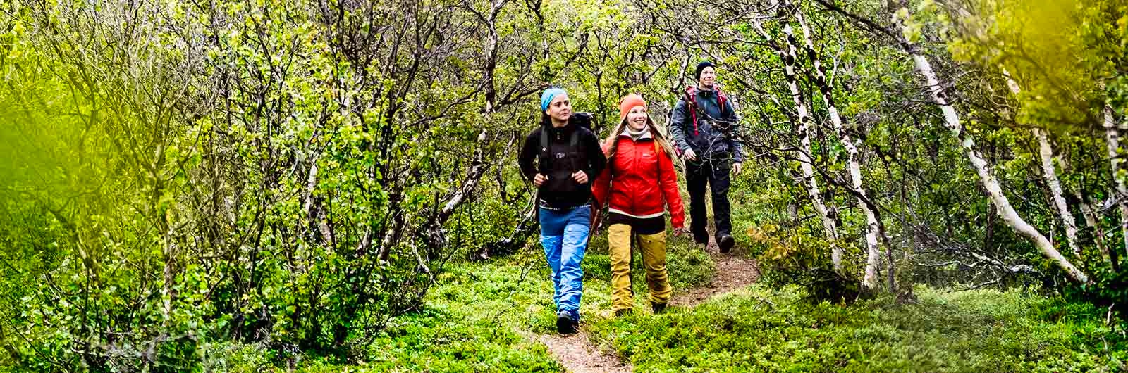 Vandrare i skogen på vandringens dag