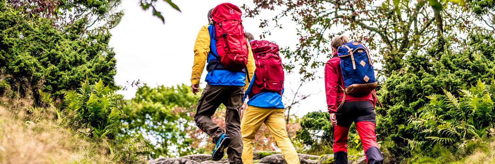 Grupp vandrare med ryggsäckar