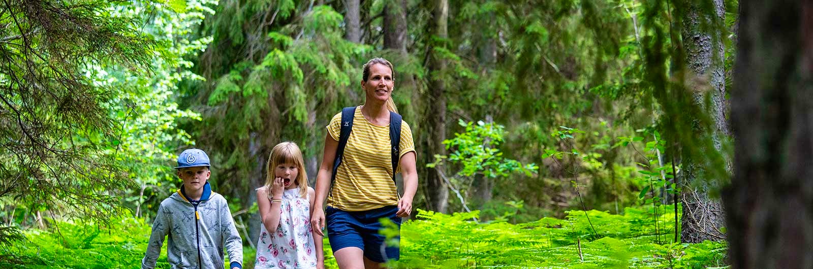 Familj går längs STF signaturled