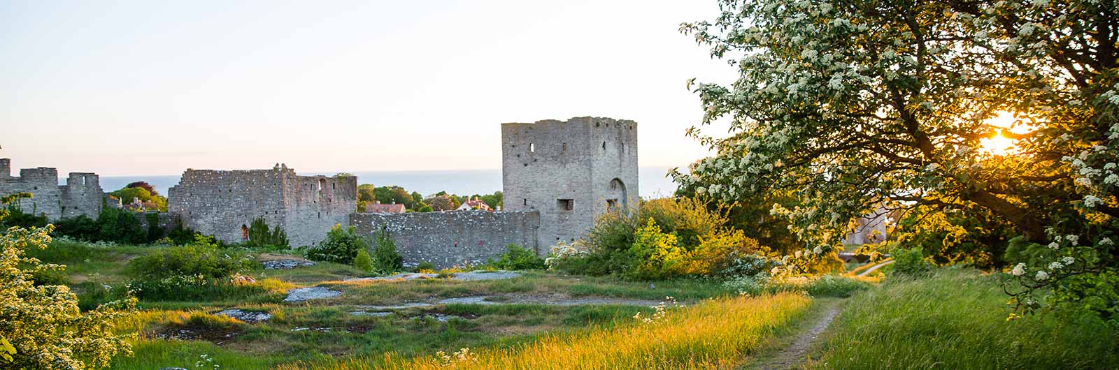 Vacker ruin på Gotland