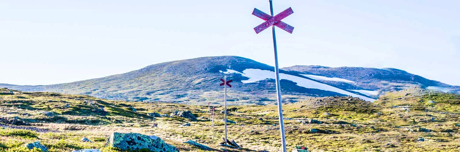 Ledkryss bland lågfjäll