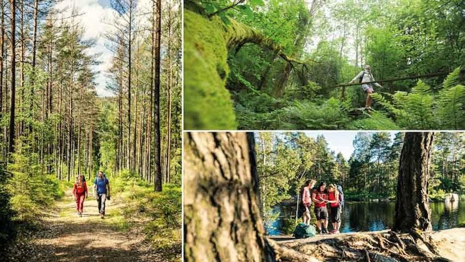 Grönskande landskap längs Bohusleden