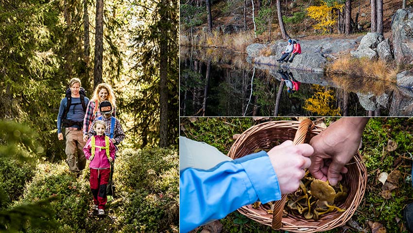 10 mindre kända vandringar Svenska Turistföreningen Sörmlandsleden Svenska Turistföreningen