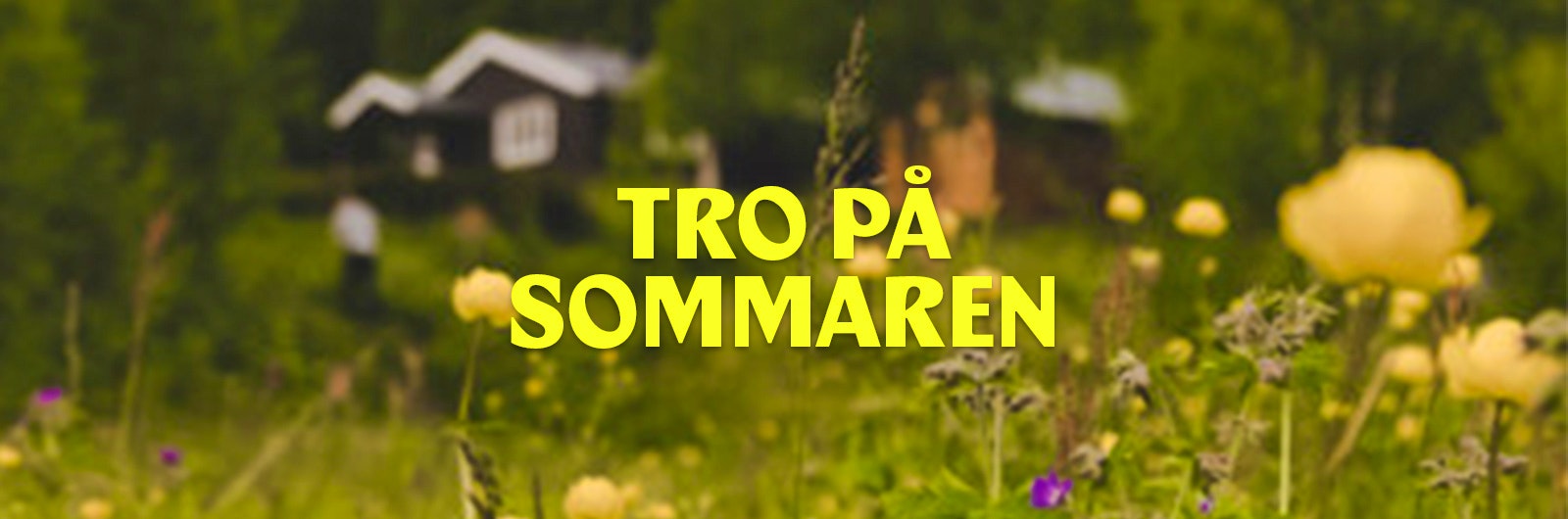 sommaräng i fjällen
