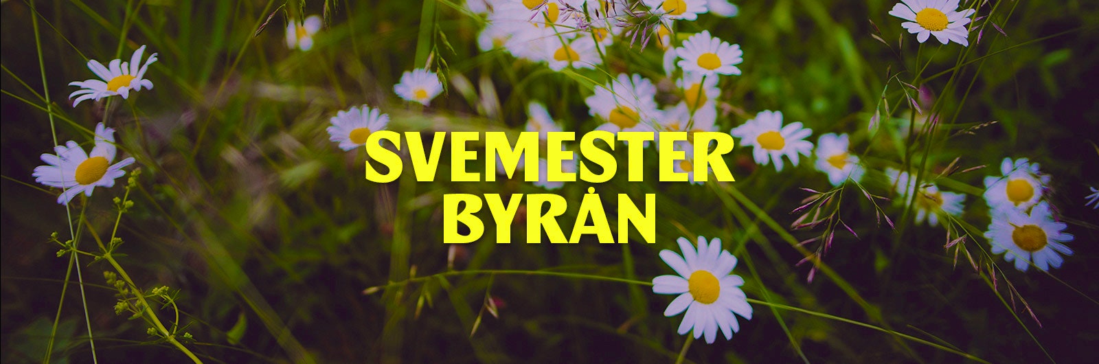 svemester byrån blommor