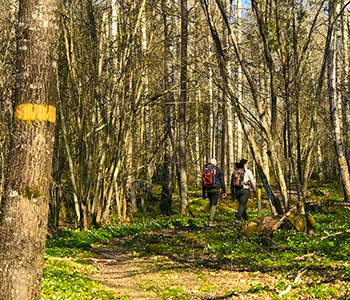 ledmarkering ostkustleden