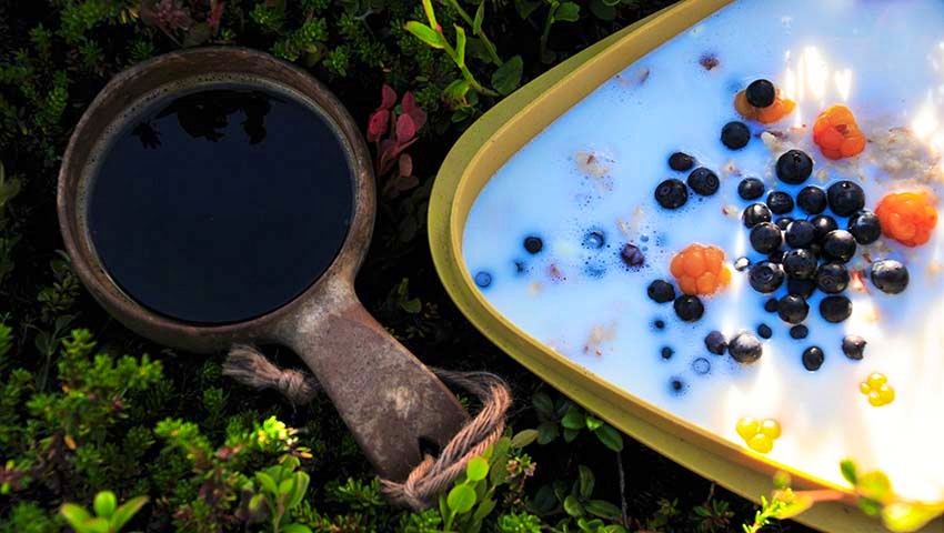 Kåsa och matlåda med blåbär, hjortron och mjölk