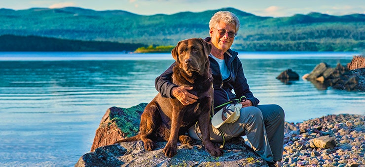 Vandra hund - Svenska Turistföreningen