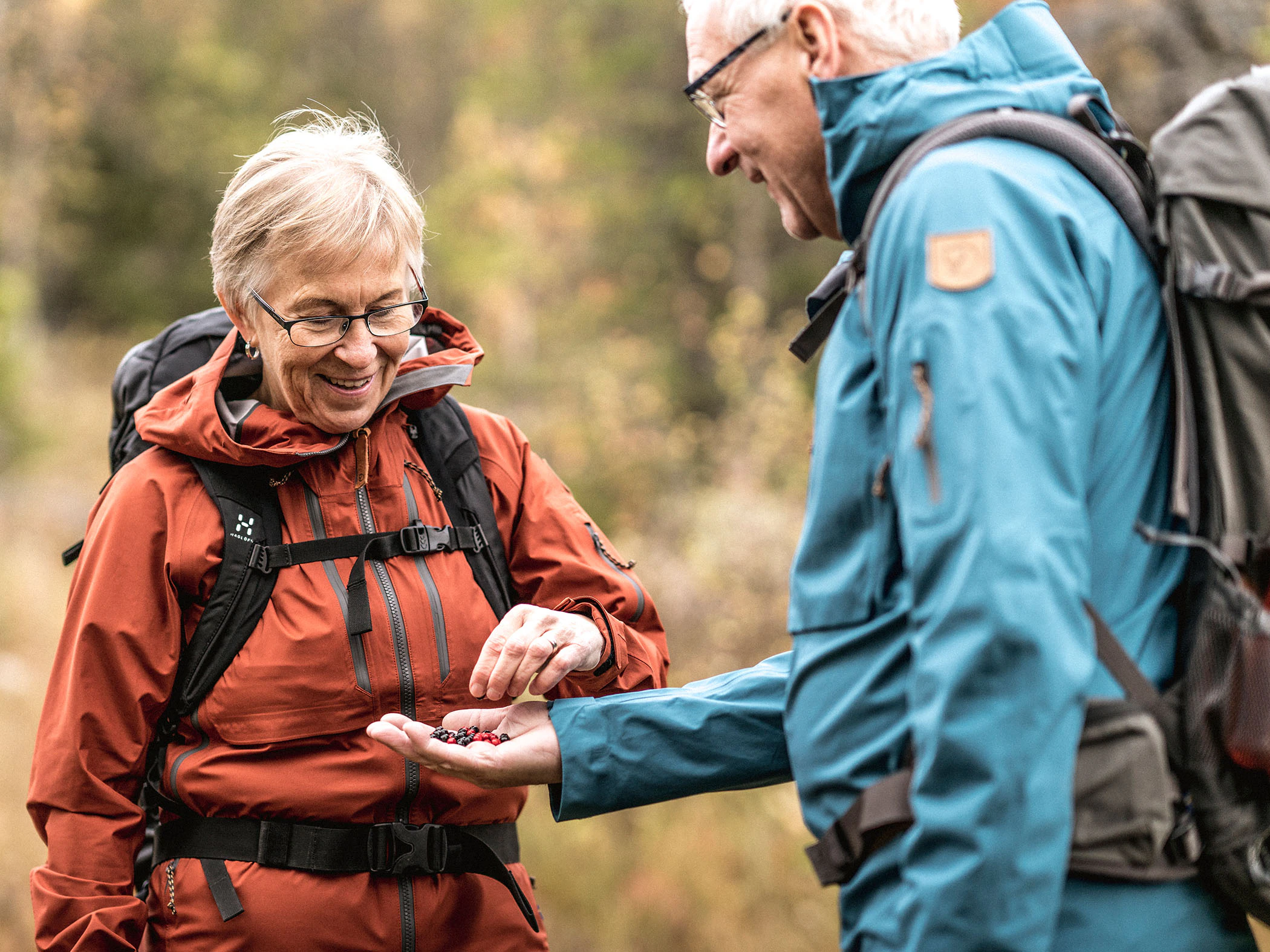 Två vandrare plockar bär under en höstvandring.