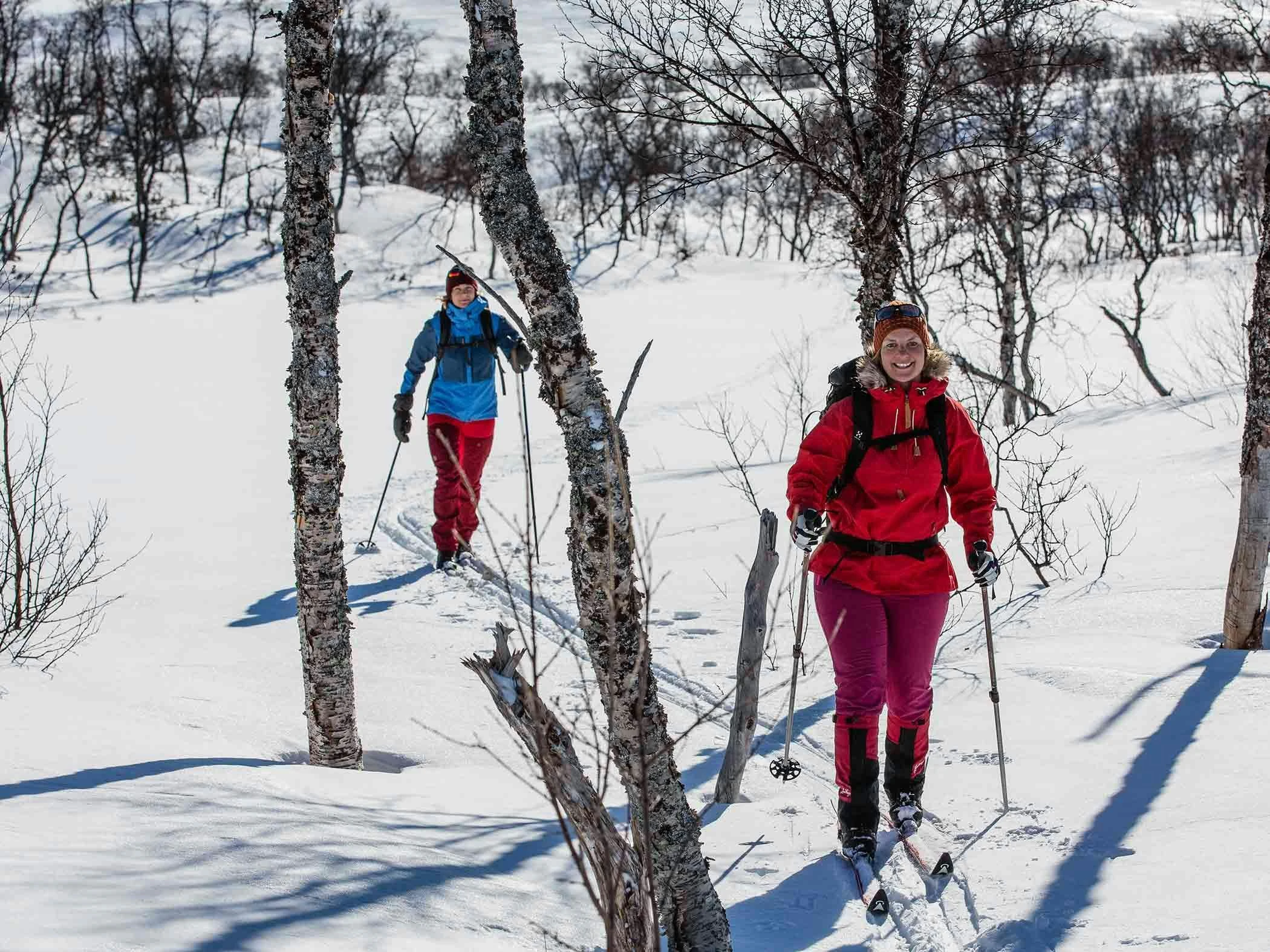 Två kvinnor som åker skidor genom snötäckt fjällskog i soligt vinterväder