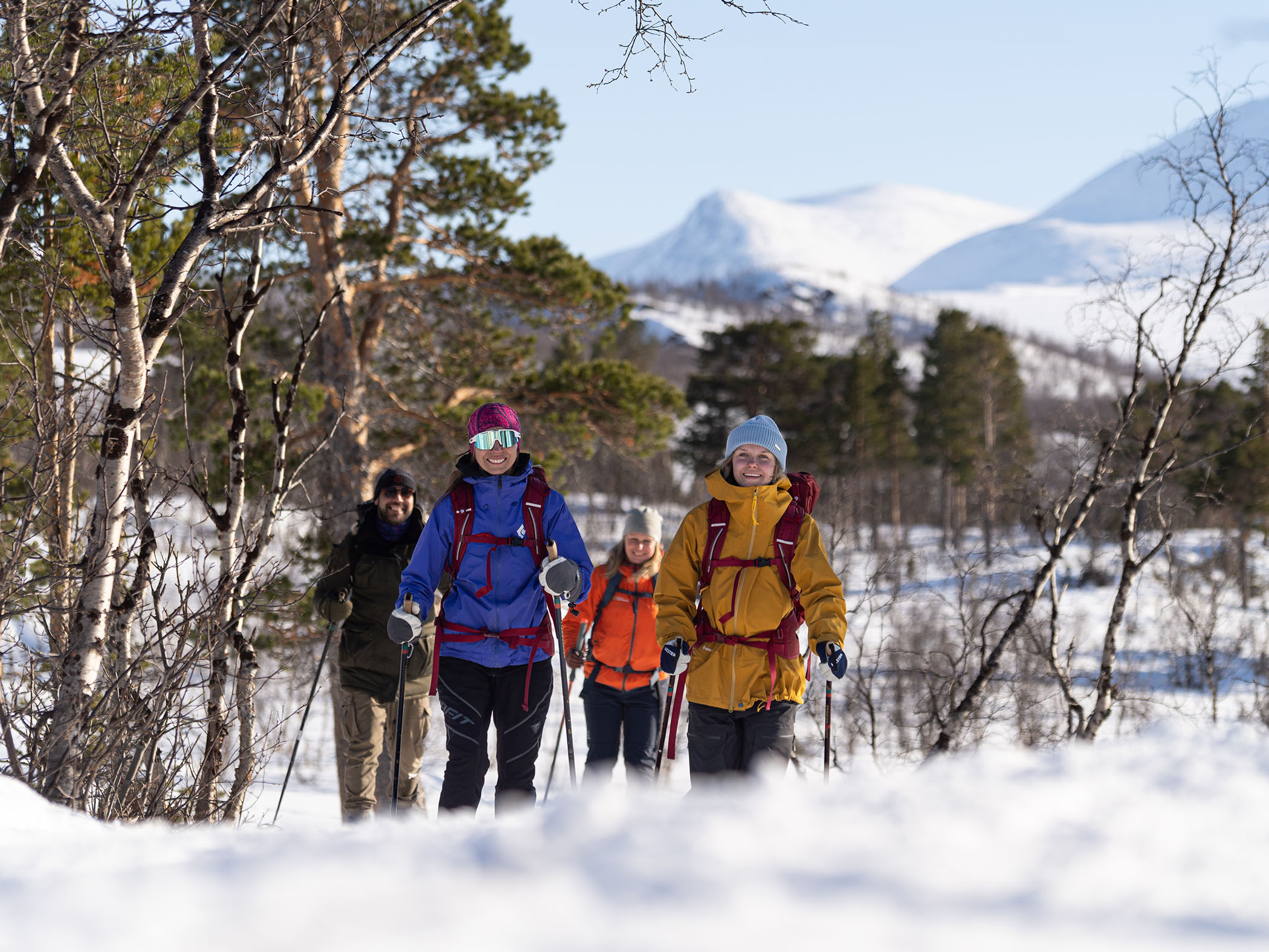 Grupp skidåkare med ryggsäckar som åker på snötäckt led genom fjällskog med berg i bakgrunden.