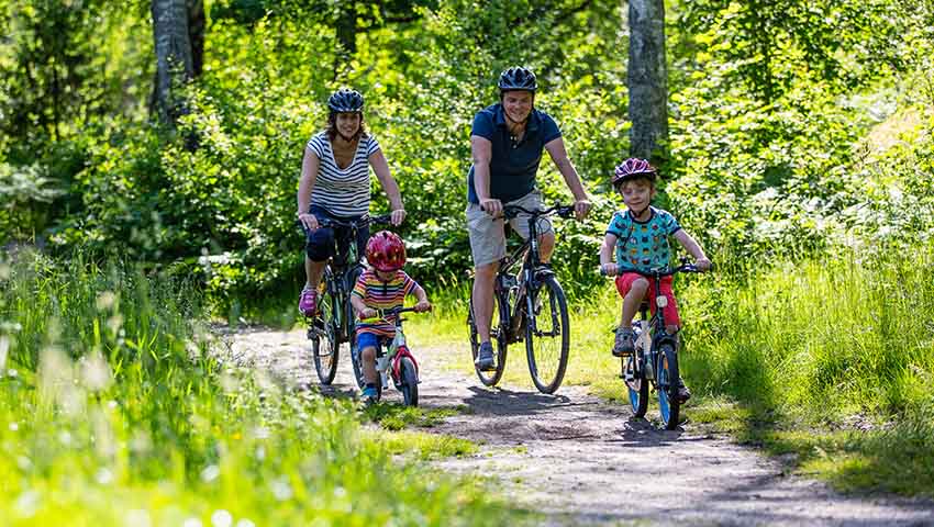 Familj cyklar på landsortsväg