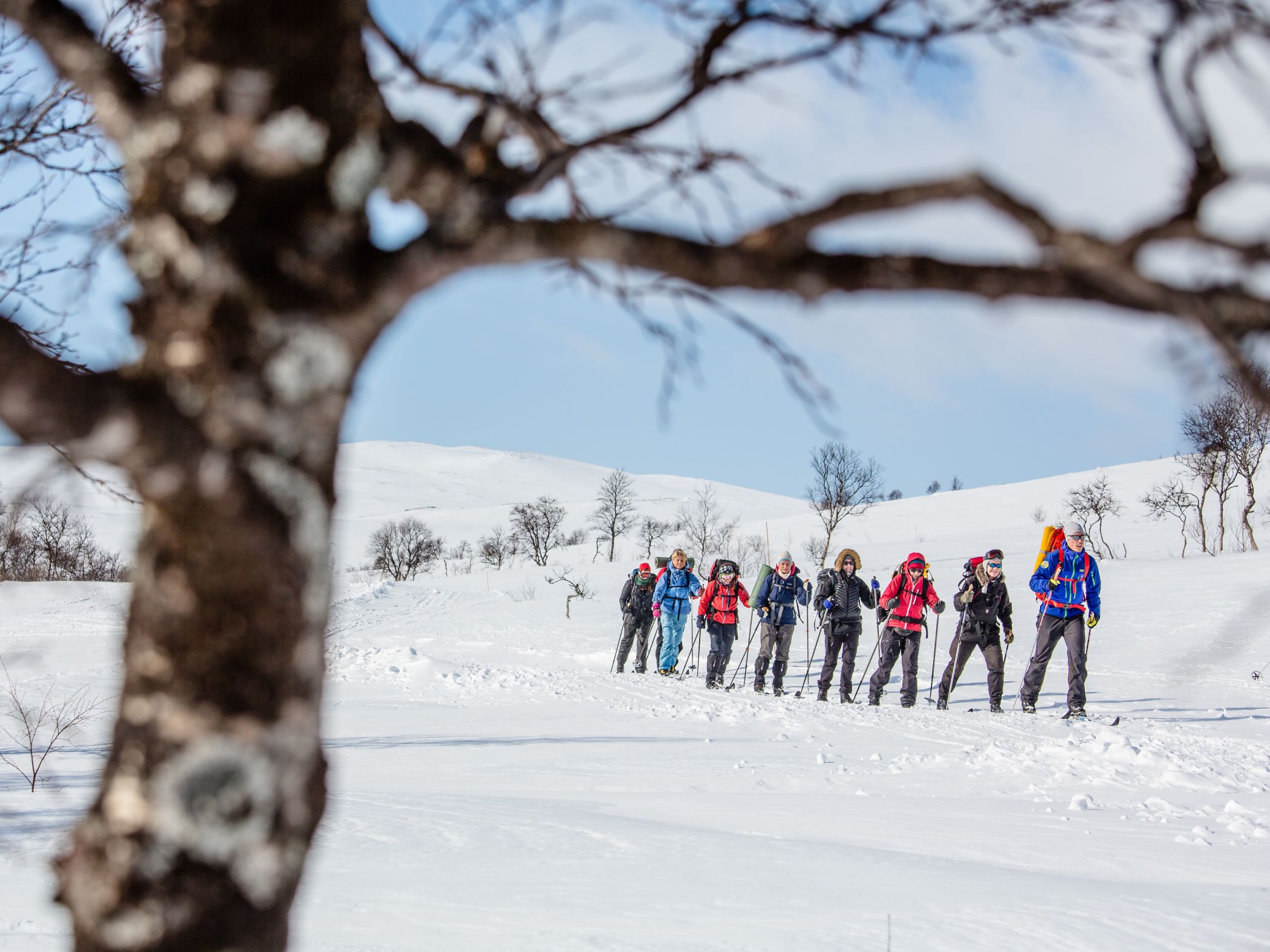 Grupp skidåkare på rad genom snötäckt fjällandskap.