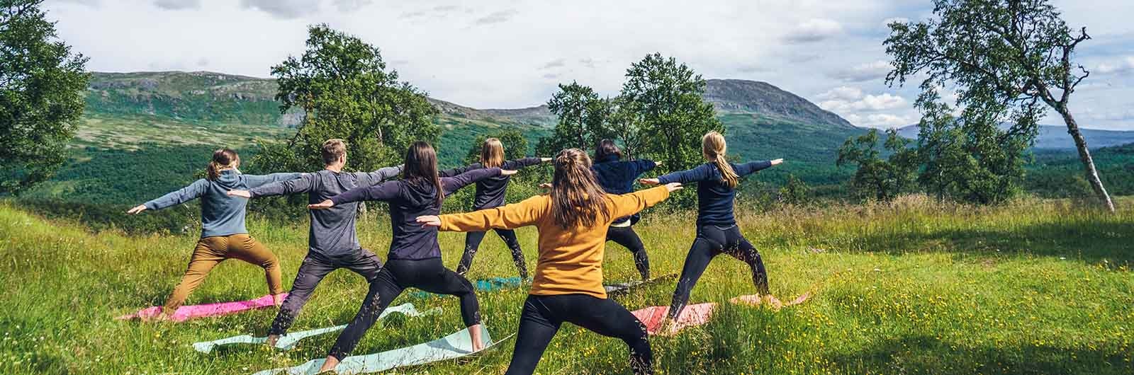 Grupp av kvinnor yogar tillsammans i naturen