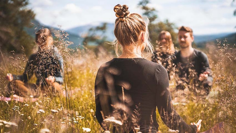 Grupp människor yogar i naturen