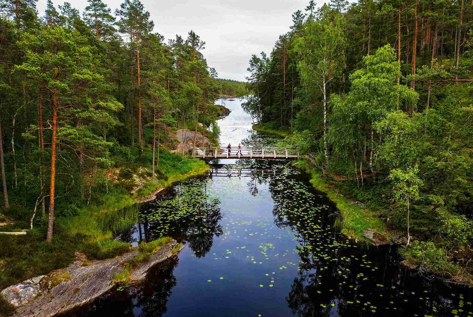 En bro över ett vattendrag vid tresticklan.