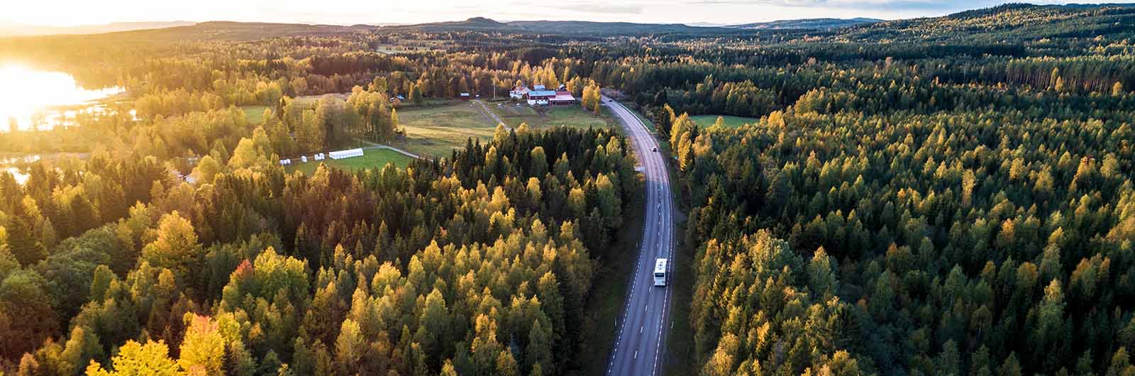 Buss åker genom skogslandskap