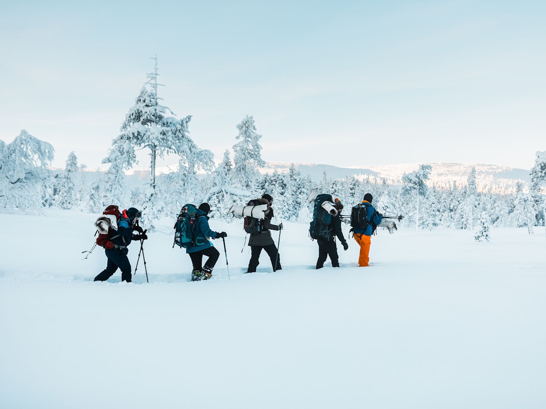 En grupp människor vandrar med snöskor genom ett snötäckt vinterlandskap omgivet av träd.