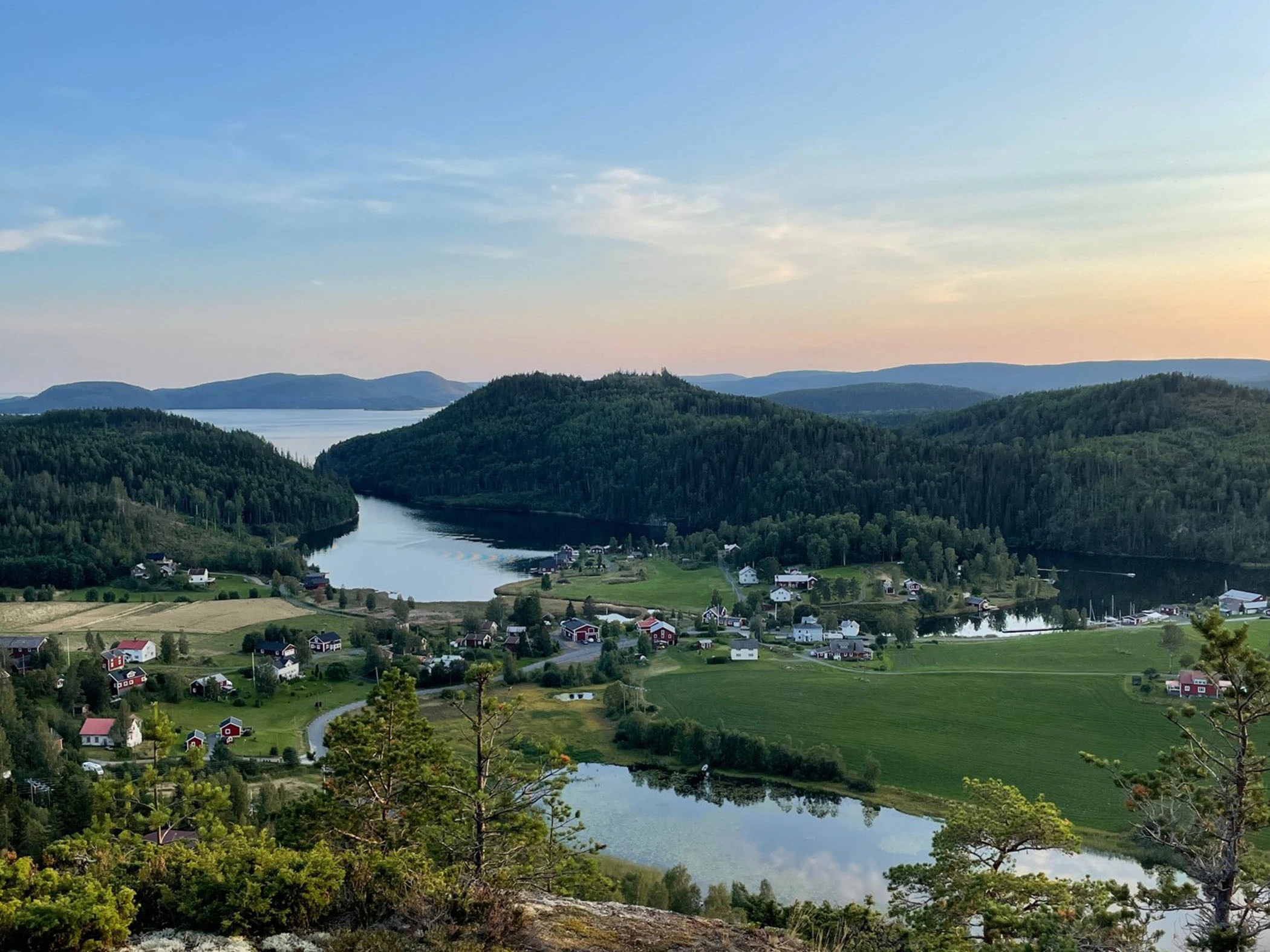 Utsikt över kullar och havet i Höga kusten.