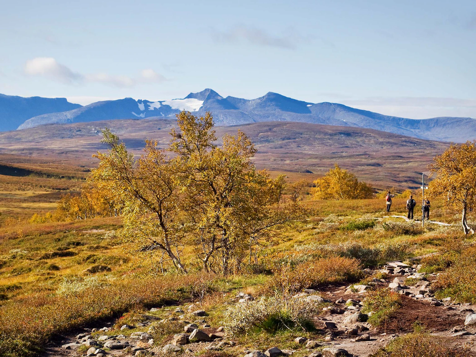 Fall Jylland Fjällvandring på hösten - Svenska Turistföreningen