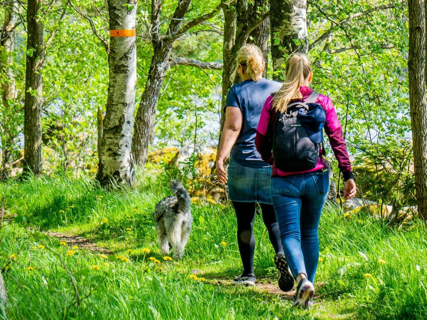 En grusväg som leder förbi en röd lantgård, omgiven av gröna träd och hagar.
