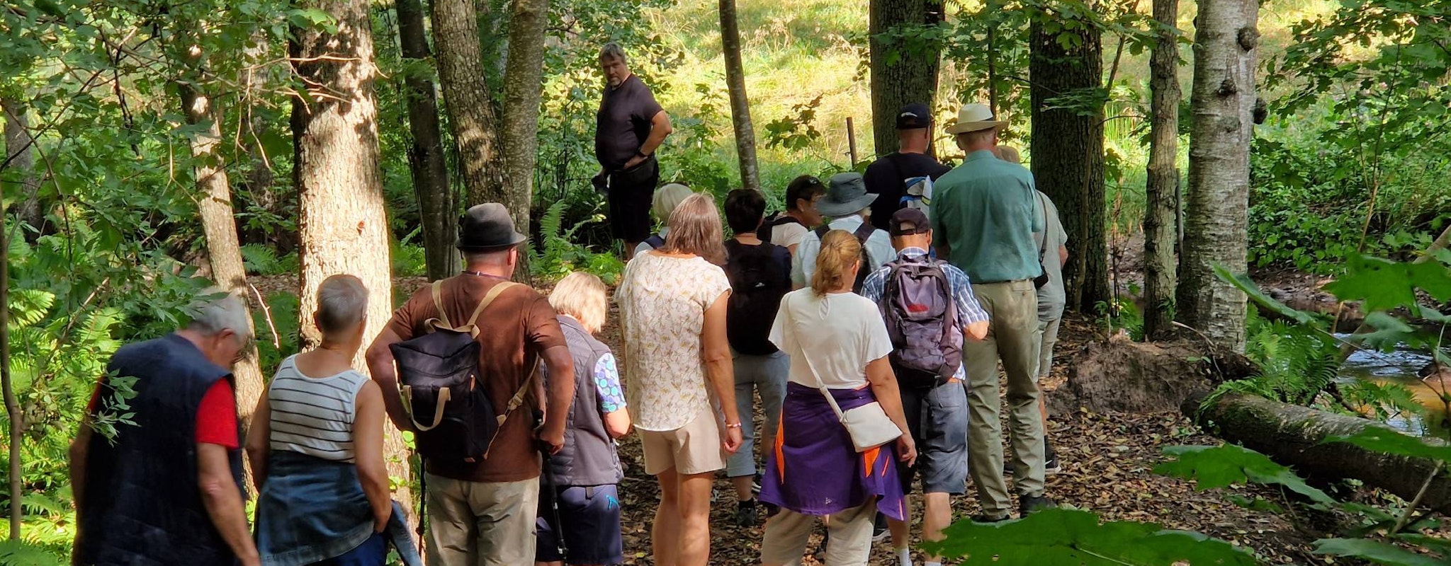 En grupp människor promenerar i skogen.
