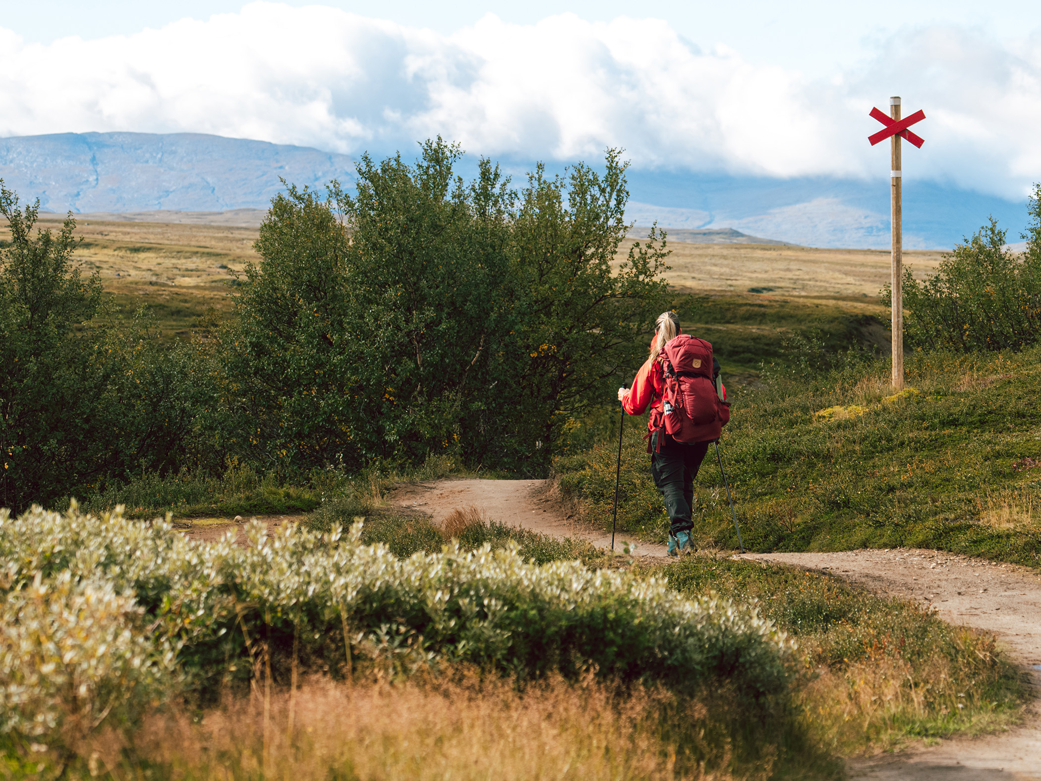 Kvinna vandrar Jämtlandstriangeln.