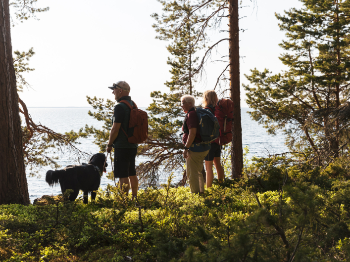 Tre personer och en hund vandrar i skogen.