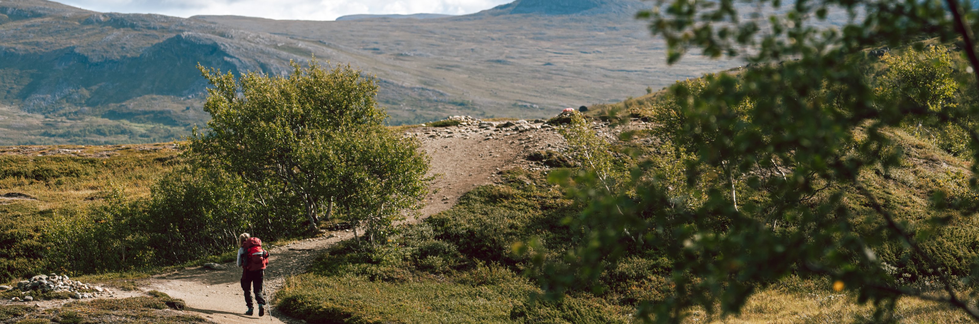 En kvinna fjällvandrar i Jämtland. 