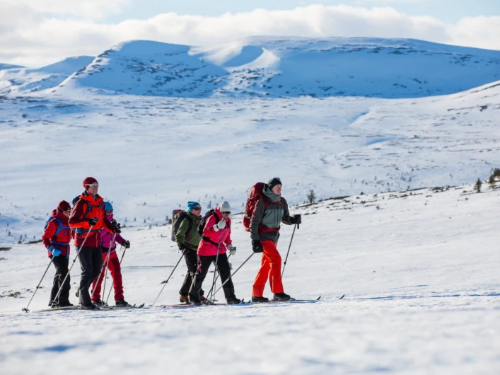 En grupp turskidåkare i storslagna snöklädda fjäll.