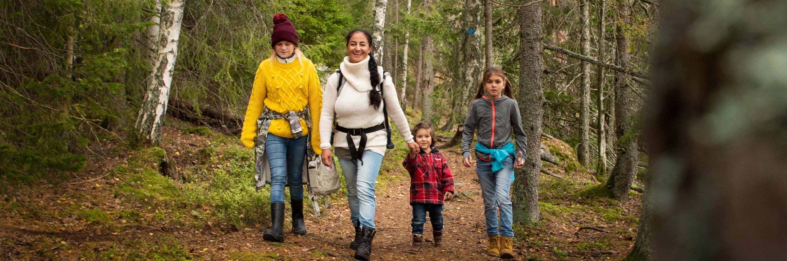 Fyra personer vandrar i skogen.