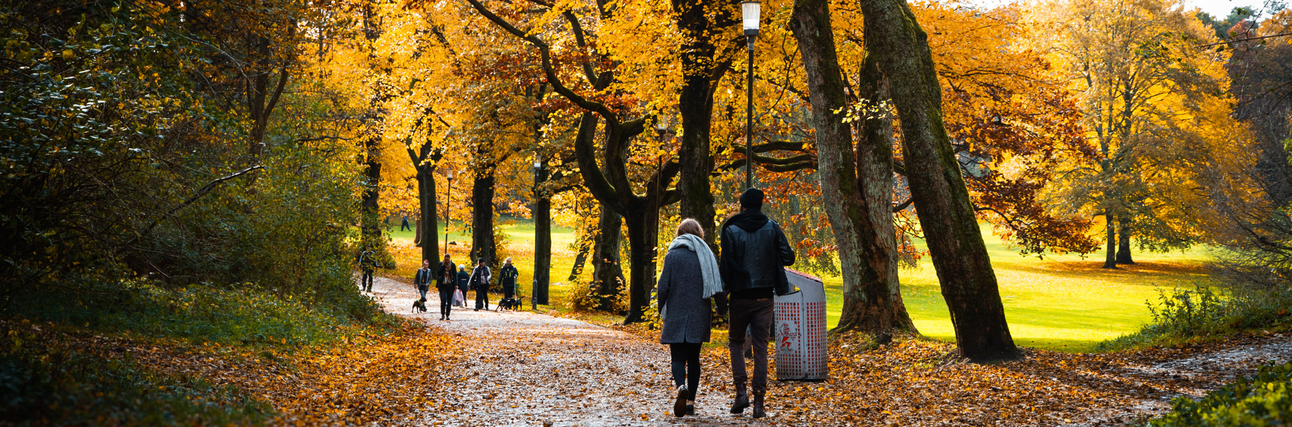 Ett par vandrar i en park med höstfärgade träd runtomkring.