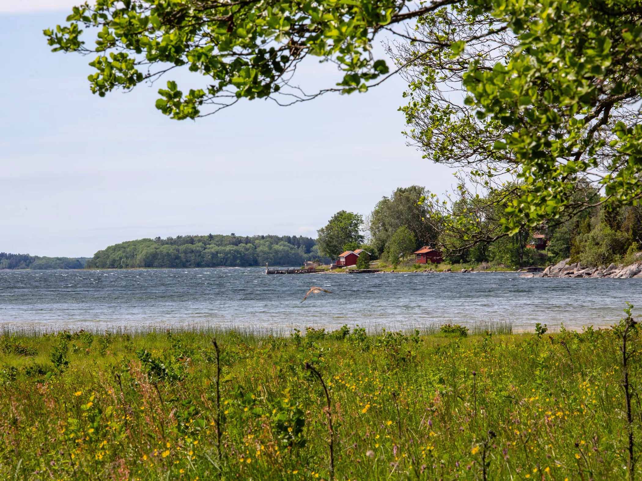 Roslagens blåa vatten och röda stugor.